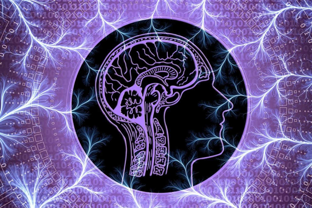 purple brain