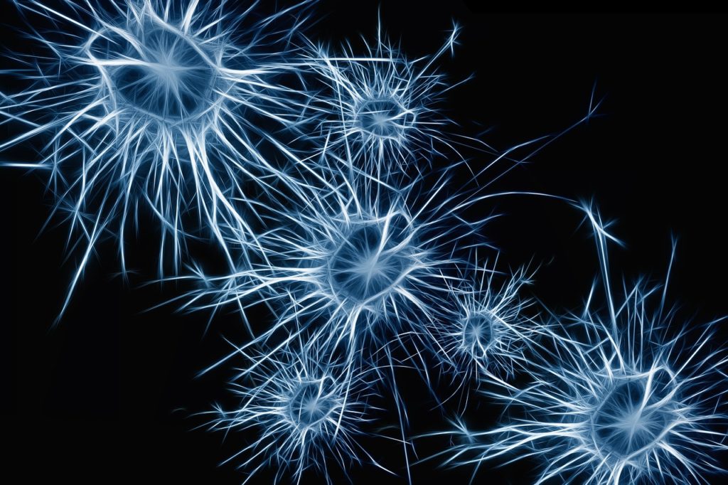 neurons with black background